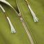 Osaka Women Cropped Full Zip Hoodie | Ferite