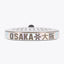 Osaka Padel Racket - Pro Tour LTD - Power | Silver-Hologram