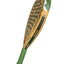 Cork Padel Racket Extreme Green